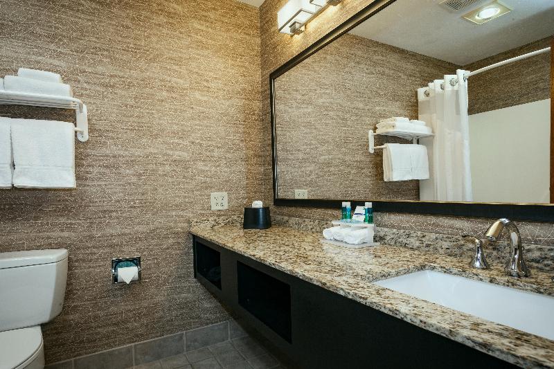 اتاق استاندارد با تخت بزرگ, Holiday Inn Express Anchorage By Ihg
