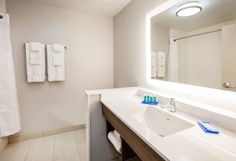 Quarto Standard 2 Camas Casal, Holiday Inn Express Atlanta W  Douglasville, An Ihg