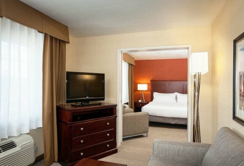 Suite, Holiday Inn Express Pullman