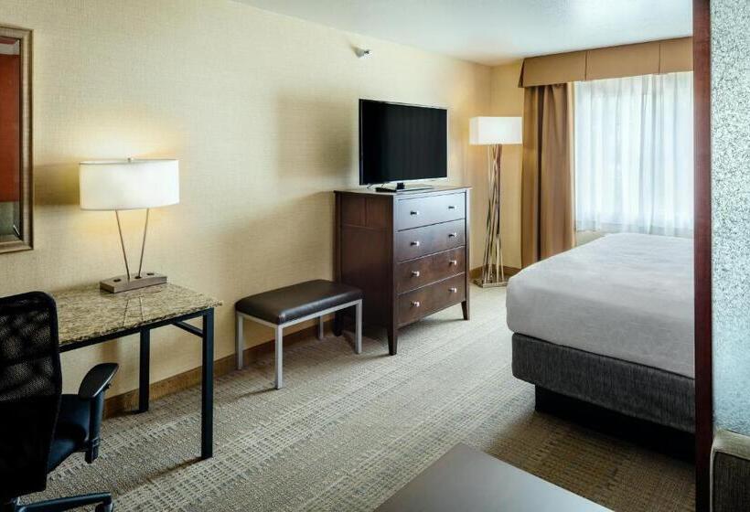 اتاق لوکس با تخت بزرگ, Hampton Inn Pullman