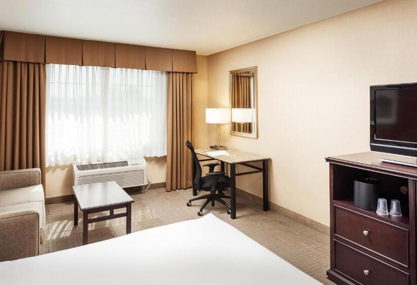 اتاق لوکس با تخت بزرگ, Hampton Inn Pullman