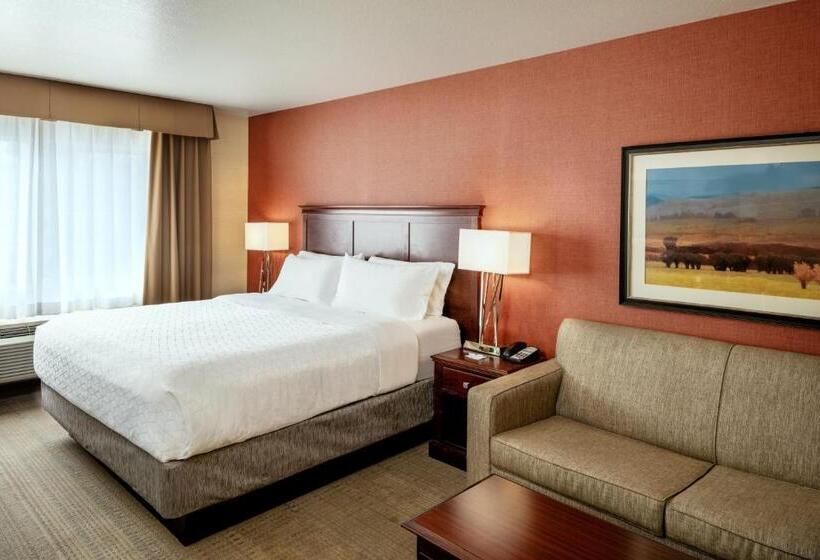 اتاق لوکس با تخت بزرگ, Hampton Inn Pullman