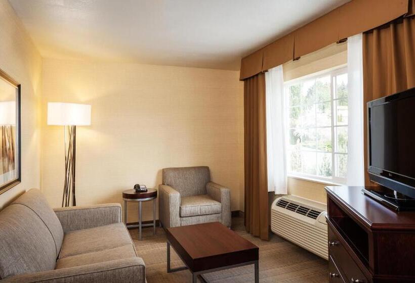 سوییت, Hampton Inn Pullman