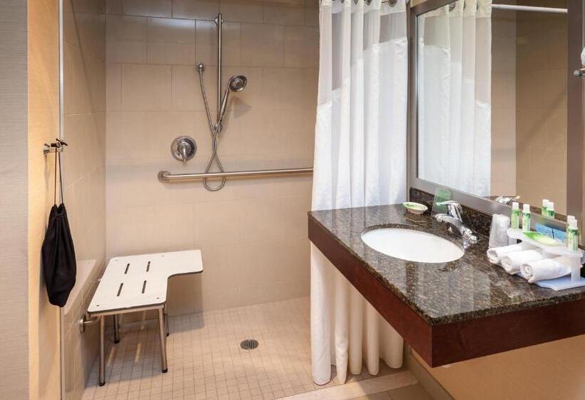 اتاق استاندارد با تخت بزرگ برای معلولان, Hampton Inn Pullman