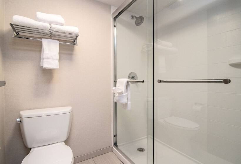 ２ダブルベッドのスタンダードルーム, Holiday Inn Express Spokane Downtown, An Ihg