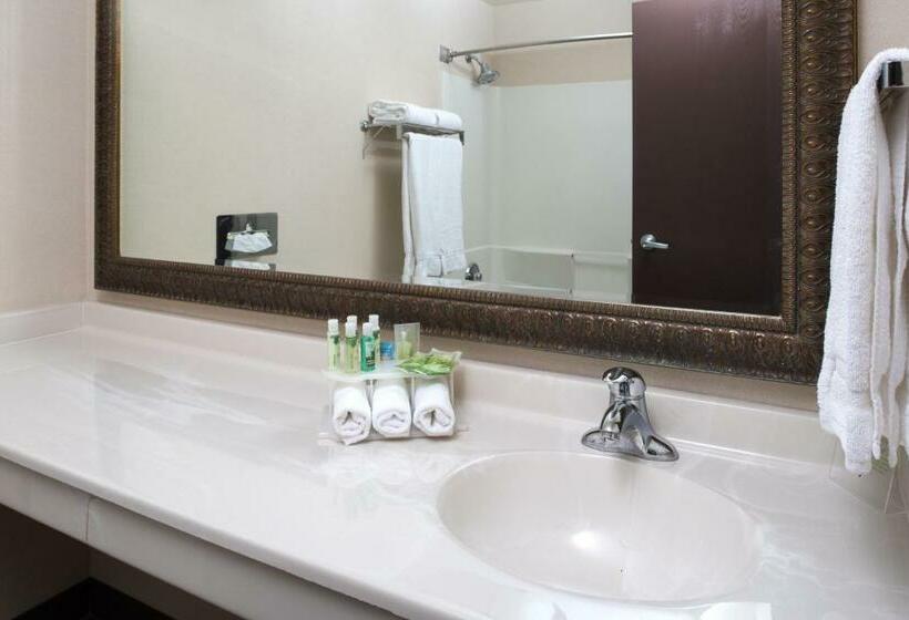 Standard Room, Holiday Inn Express Spokanevalley