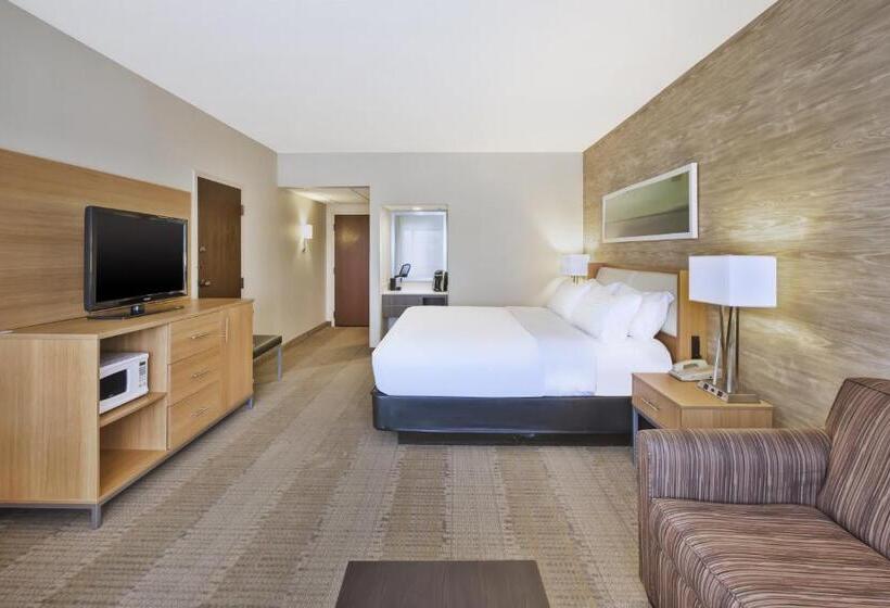 اتاق استاندارد با تخت بزرگ, Holiday Inn Rapid City   Rushmore Plaza, An Ihg
