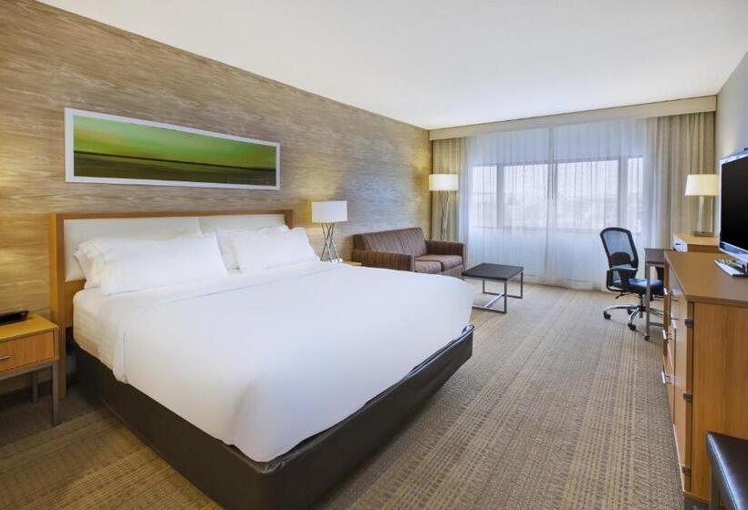 اتاق استاندارد با تخت بزرگ, Holiday Inn Rapid City   Rushmore Plaza, An Ihg