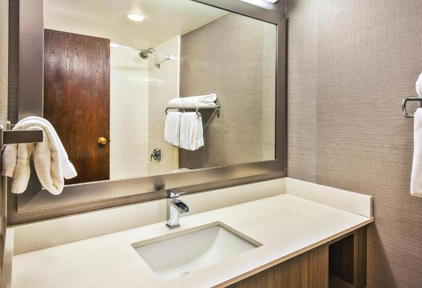 اتاق استاندارد, Holiday Inn Rapid City   Rushmore Plaza, An Ihg