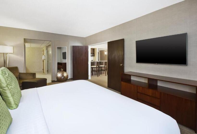 سوئیت با تخت بزرگ, Holiday Inn Rapid City   Rushmore Plaza, An Ihg