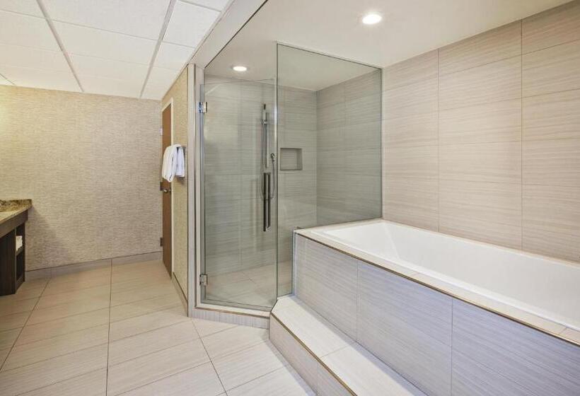 سوئیت با تخت بزرگ, Holiday Inn Rapid City   Rushmore Plaza, An Ihg