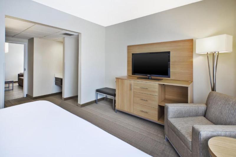 سوئیت با تخت بزرگ, Holiday Inn Rapid City   Rushmore Plaza, An Ihg