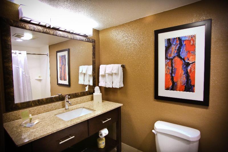 اتاق استاندارد با تخت دو نفره بزرگ, Holiday Inn & Suites Downtown La Crosse