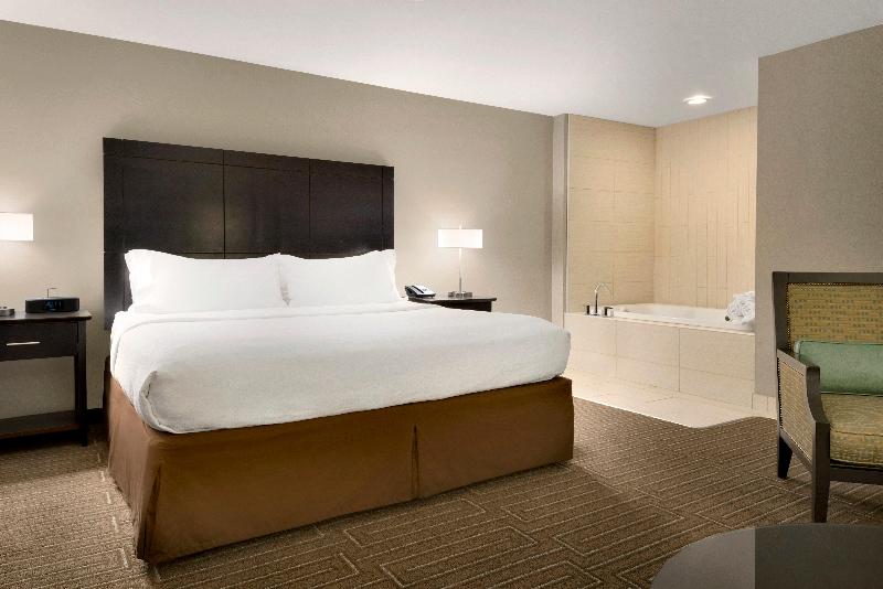 سوئیت با تخت بزرگ, Holiday Inn & Suites Duluthdowntown
