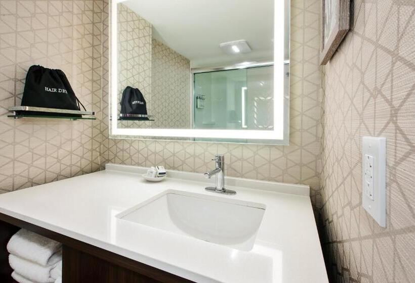 اتاق استاندارد با تخت بزرگ, Holiday Inn Va Beach Oceanside 21st St, An Ihg