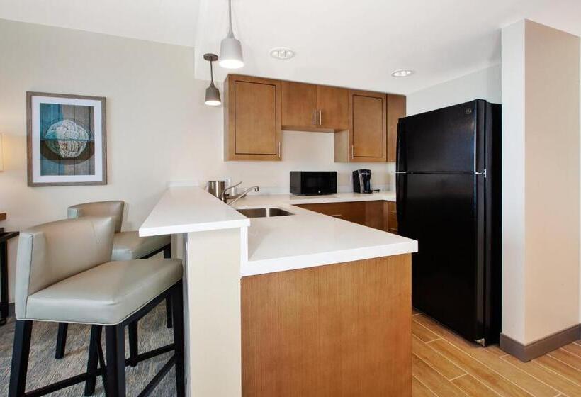 استودیو استاندارد با تخت کینگ, Holiday Inn Va Beach Oceanside 21st St, An Ihg