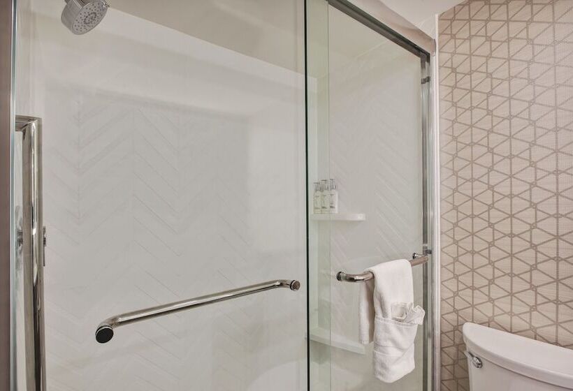 اتاق استاندارد, Holiday Inn Va Beach Oceanside 21st St, An Ihg