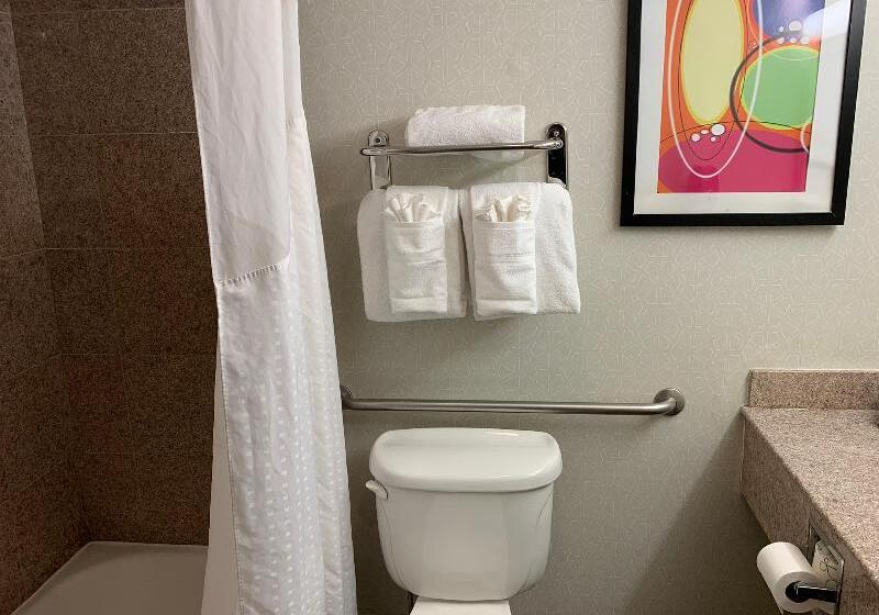 اتاق استاندارد با تخت بزرگ, Holiday Inn Va Beach Oceanside 21st St, An Ihg