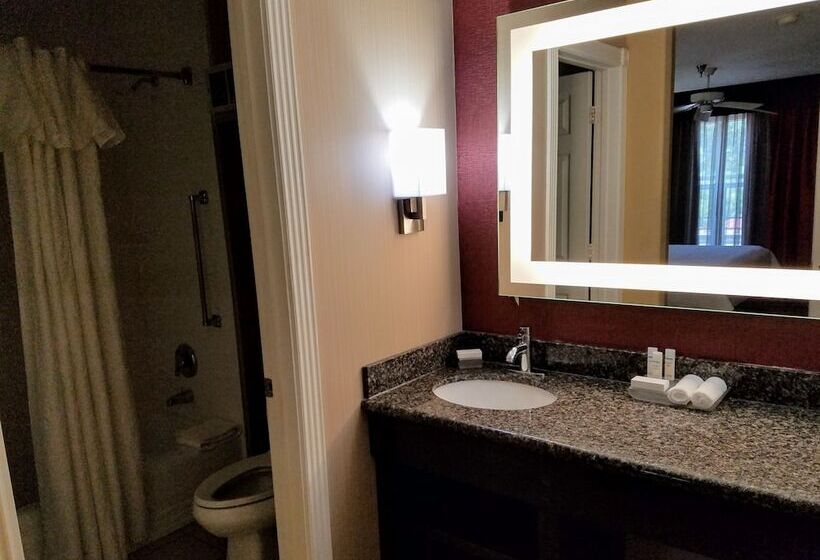 اتاق استاندارد با تخت دوبل, Homewood Suites By Hilton Longview