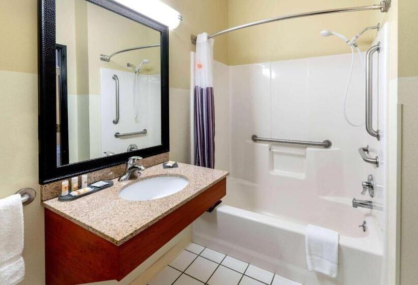 اتاق استاندارد برای معلولان, La Quinta By Wyndham Helena