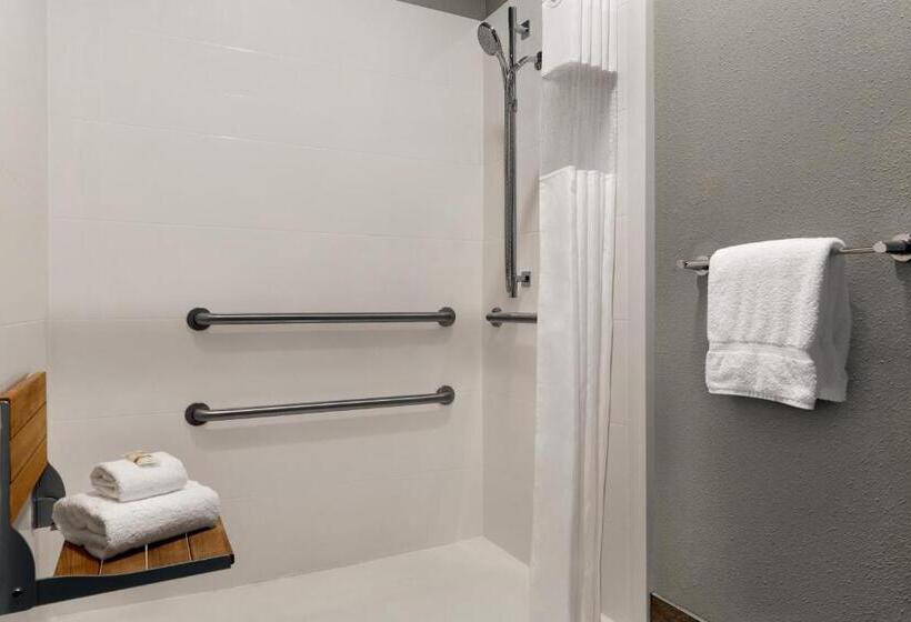اتاق استاندارد با تخت بزرگ برای معلولان, La Quinta By Wyndham Salem Or
