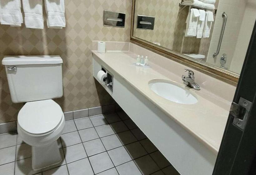 اتاق استاندارد با تخت بزرگ, Quality Inn & Suites Columbia I70