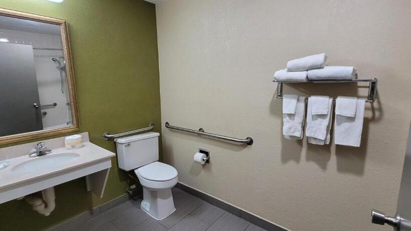 غرفة قياسية سرير كينج لذوى الإحتياجات الخاصة, Quality Inn & Suites Columbia I70