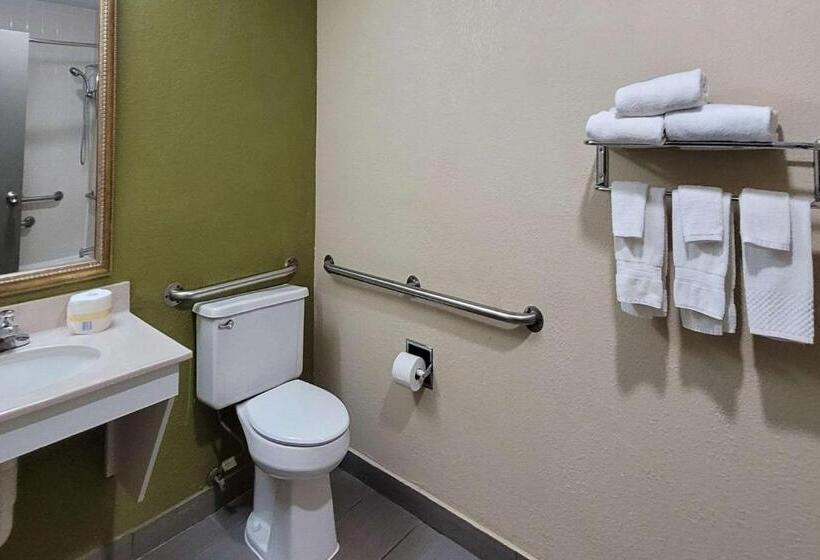 اتاق استاندارد با تخت بزرگ برای معلولان, Quality Inn & Suites Columbia I70