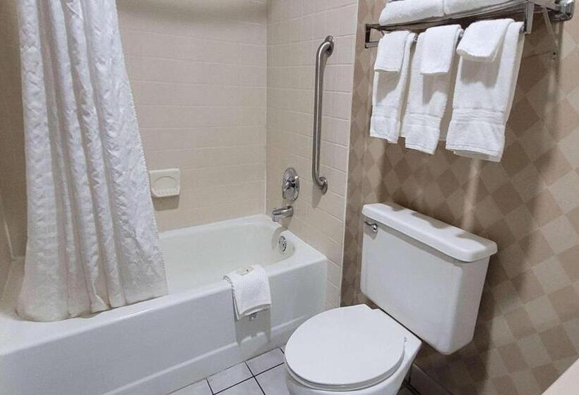 اتاق استاندارد با تخت بزرگ برای معلولان, Quality Inn & Suites Columbia I70