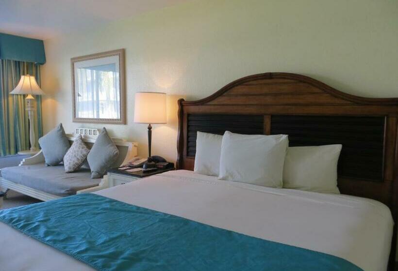 اتاق استاندارد با تخت بزرگ, Seralago Hotel & Suites Main Gate East