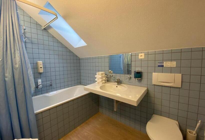디럭스 패밀리 룸, Hirschen Hinwil