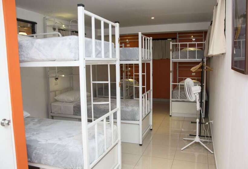 تختخواب در اتاق مشترک, Del Paseo   Hostel