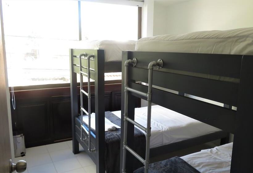 سرير فى غرفة مشتركه, San Jacinto Hostel