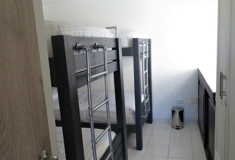 سرير فى غرفة مشتركه, San Jacinto Hostel