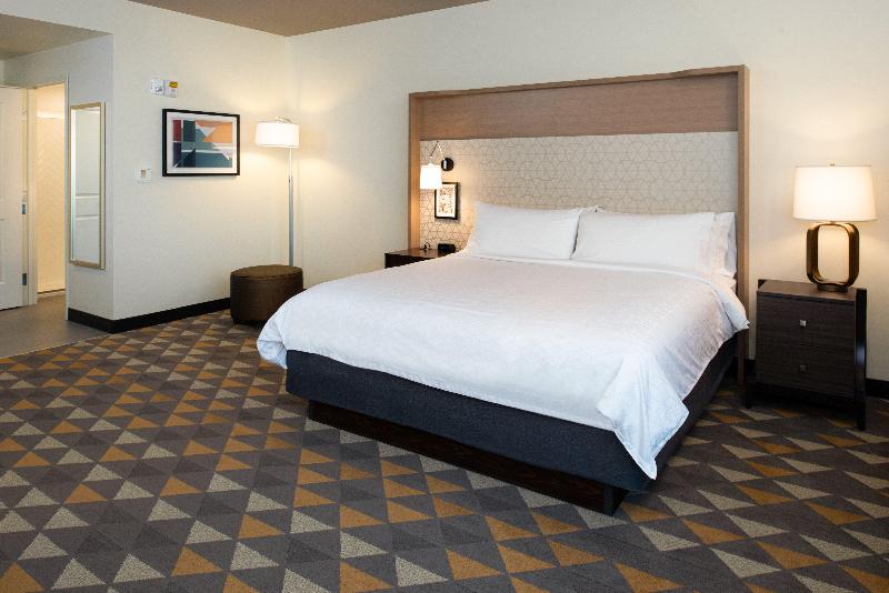 اتاق استاندارد با تخت بزرگ, Holiday Inn  And Suites Idaho Falls
