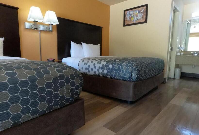 スタンダードルーム, Econo Lodge Inn & Suites Downtown Northeast Near Fort Sam Houston