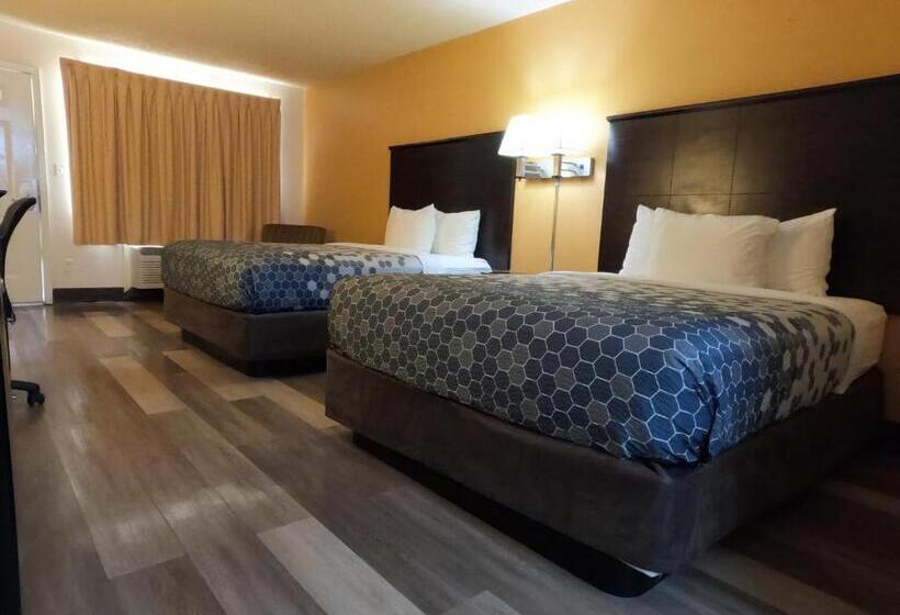 スタンダードルーム, Econo Lodge Inn & Suites Downtown Northeast Near Fort Sam Houston