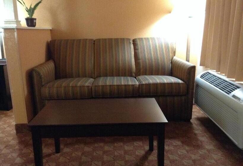 スタンダードルーム, Econo Lodge Inn & Suites Downtown Northeast Near Fort Sam Houston