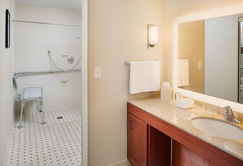 سوئیت برای معلولان, Homewood Suites By Hilton San Antonio Riverwalk/downtown