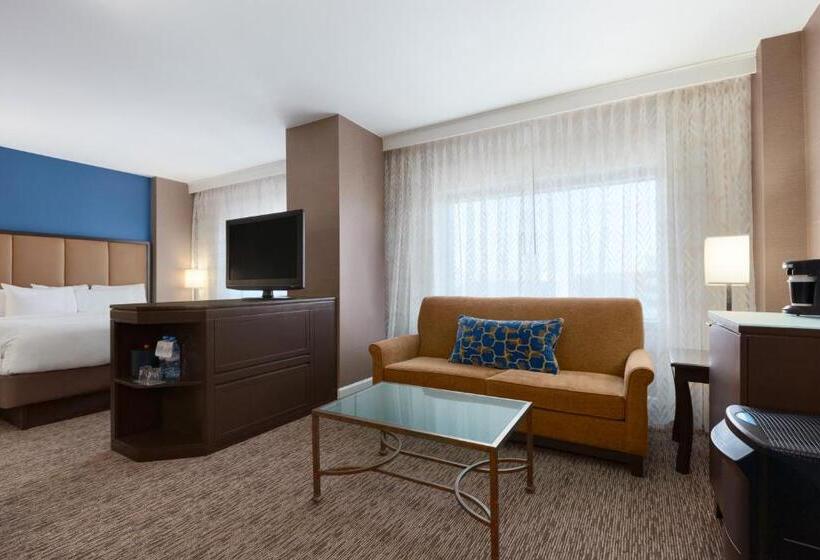 Chambre Standard Lit King Size, Hyatt Regency Dulles