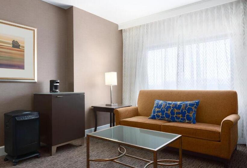 اتاق استاندارد با تخت بزرگ, Hyatt Regency Dulles