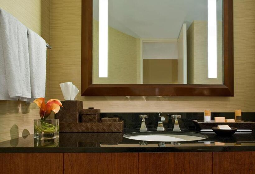 Standard Room Superior Floor, Hyatt Regency Dulles
