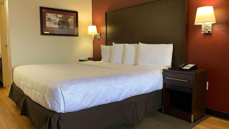 Superior Room, Quality Inn & Suites