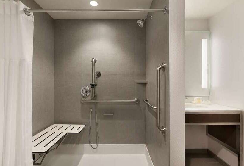 اتاق استاندارد با تخت بزرگ, Roanoke & Conference Ctr, Curio Collection By Hilton 