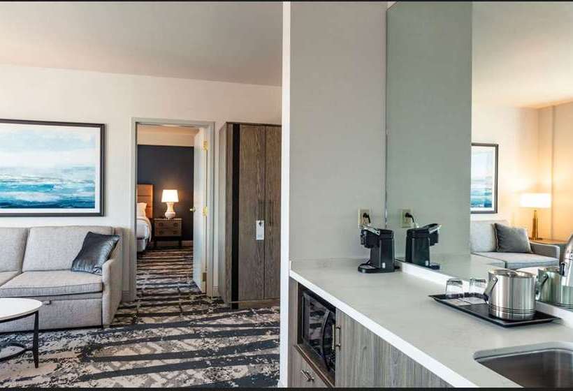 سوییت, Roanoke & Conference Ctr, Curio Collection By Hilton 