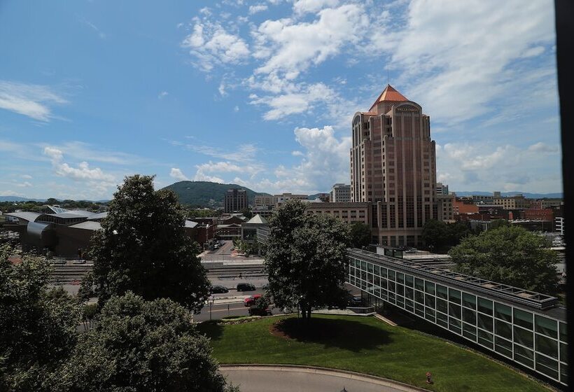 سوییت جونیور, Roanoke & Conference Ctr, Curio Collection By Hilton 