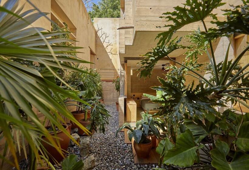 اتاق استاندارد اینتریور, Escondido Oaxaca, A Member Of Design Hotels