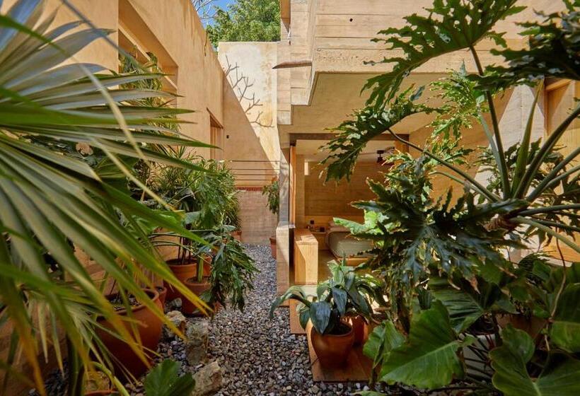 اتاق استاندارد اینتریور, Escondido Oaxaca, A Member Of Design Hotels