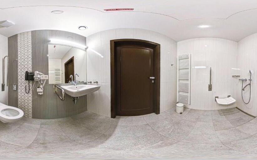 اتاق استاندارد یک تخته برای معلولان, Michael S Palace