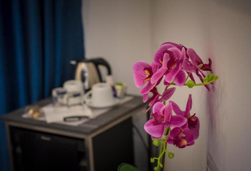 اتاق استاندارد, B&b Elegance